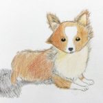 ジュニアクラス会員作品　色鉛筆画『子犬』