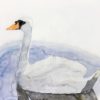 ジュニアクラス会員作品　水彩画『白鳥』